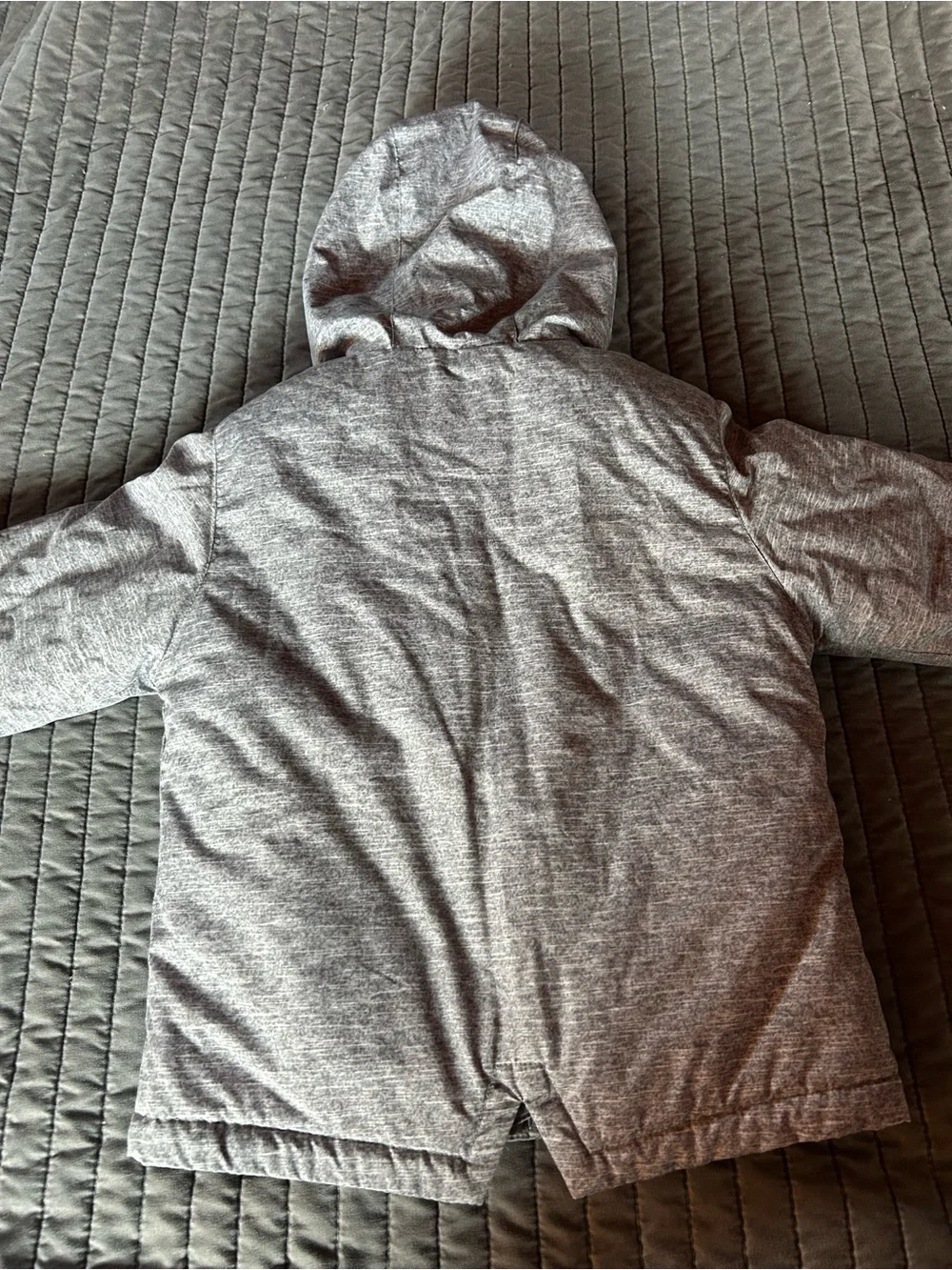 wonder nation cozy gray